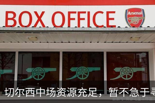 切尔西中场资源充足，暂不急于寻找恩佐的替代者