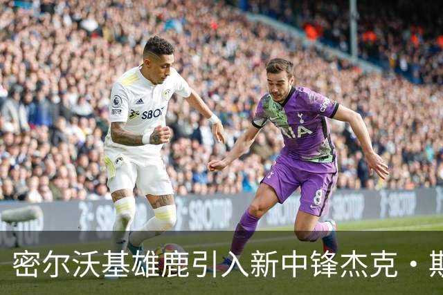 密尔沃基雄鹿引入新中锋杰克·斯蒂芬斯，期待未来表现