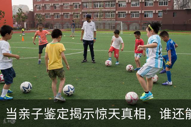 当亲子鉴定揭示惊天真相，谁还能不惊愕？
