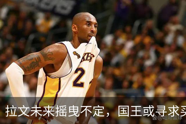 拉文未来摇曳不定，国王或寻求买断机会
