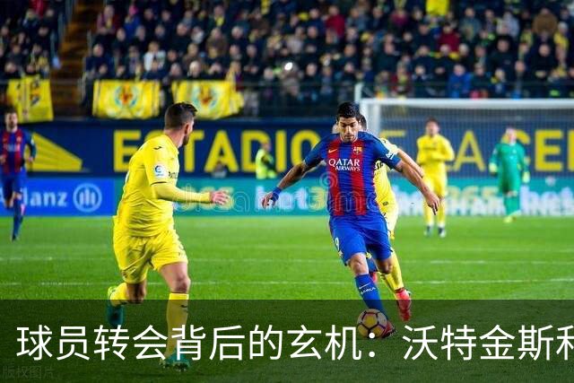 球员转会背后的玄机：沃特金斯和罗德里的薪资暴涨与安德森的逆袭