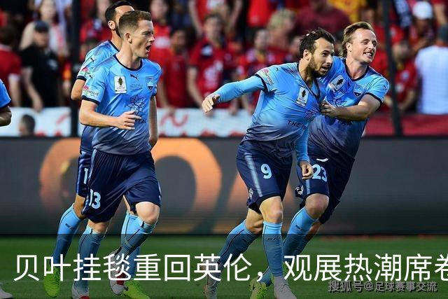 贝叶挂毯重回英伦，观展热潮席卷大英博物馆