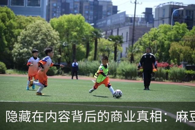 隐藏在内容背后的商业真相：麻豆传媒的真实面貌